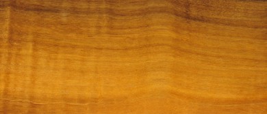 Giới thiệu gỗ óc chó (gỗ walnut) Queensland của Úc