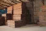 Kinh nghiệm chọn gỗ óc chó (gỗ walnut) nhập khẩu chất lượng