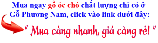 sở hữu giá bán gỗ óc chó (walnut) xẻ sấy nhập khẩu