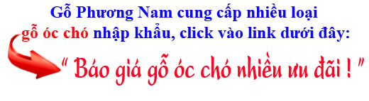 bảng báo giá gỗ óc chó (walnut) Mỹ nhập khẩu