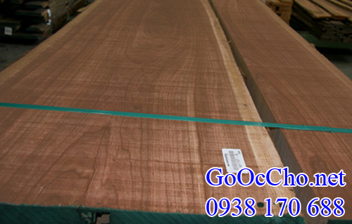 gỗ óc chó (gỗ walnut) nhập khẩu tại mỹ