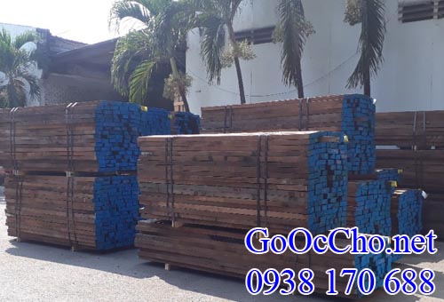 Kiện gỗ óc chó (walnut) giá rẻ 