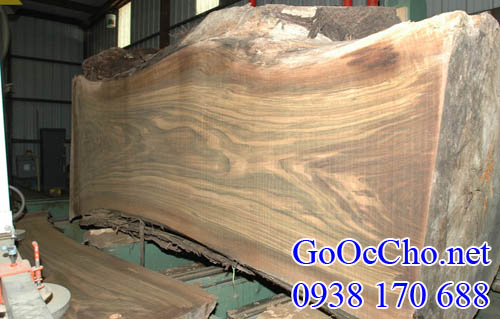 gỗ óc chó (walnut) xẻ