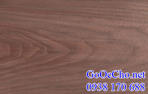 vân gỗ óc chó (gỗ walnut) Mỹ xẻ sấy